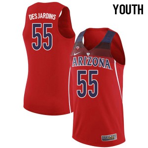 Youth Arizona Wildcats Jake Desjardins #55 Embroidery Red Jersey 289138-524
