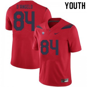 Youth Arizona Wildcats Tristen D'Angelo #84 Red Football Jersey 473669-294
