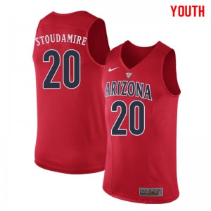 Youth Arizona Wildcats Damon Stoudamire #20 Red Embroidery Jerseys 348223-869