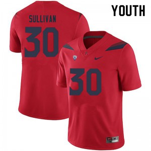 Youth Arizona Wildcats Quinn Sullivan #30 NCAA Red Jersey 227923-235